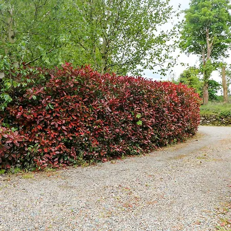 The Mews Derrybawn Glendarragh